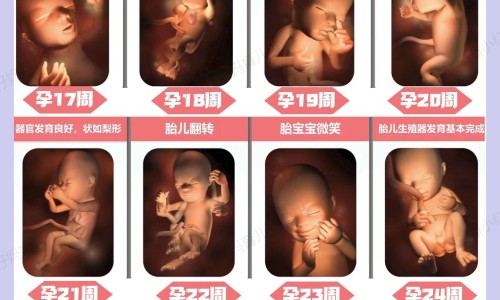 肝肾康糖浆药店价格网 :分享肝肾安糖浆和肝肾康糖浆有什么区别-肝肾安糖浆和肝肾康糖浆有什么区别知识