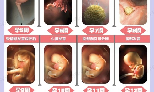 肝肾康糖浆喝多久有效-肝肾康糖浆药店价格网 :分享肝肾安糖浆和肝肾康糖浆有什么区别-肝肾安糖浆和肝肾康糖浆有什么区别知识